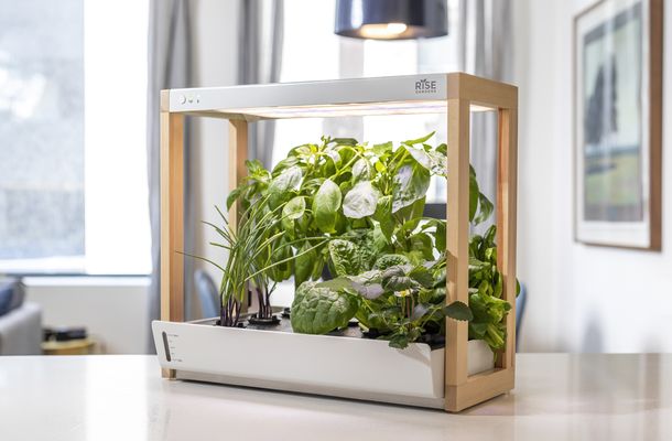 Personal Rise Garden indoor hydroponic system